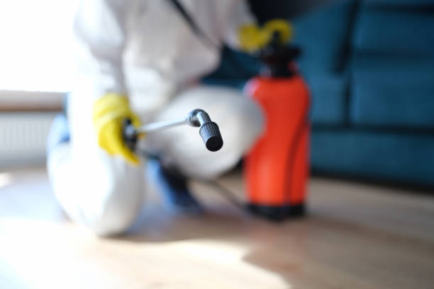 Mold Remediation for Vacation Homes in Ruidoso, NM