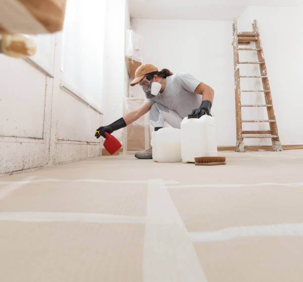 Best Mold Remediation for Healthcare Facilities  in Ruidoso, NM